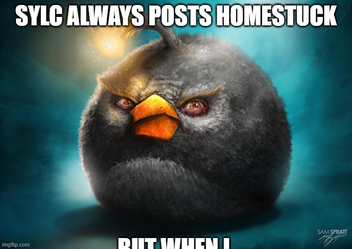 Realistic Bomb Angry Bird | SYLC ALWAYS POSTS HOMESTUCK; BUT WHEN I | image tagged in realistic bomb angry bird | made w/ Imgflip meme maker