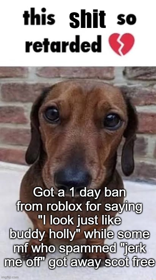Got a 1 day ban from roblox for saying "I look just like buddy holly" while some mf who spammed "jerk me off" got away scot free | made w/ Imgflip meme maker