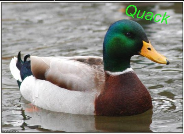 Quack | Quack | image tagged in memes,actual advice mallard,quack | made w/ Imgflip meme maker