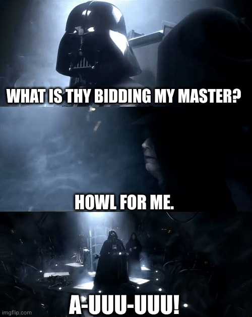 Howl. | WHAT IS THY BIDDING MY MASTER? HOWL FOR ME. A-UUU-UUU! | image tagged in darth vader where is padme is she safe is she alright | made w/ Imgflip meme maker