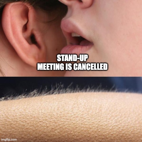 Stand up cancelled | STAND-UP MEETING IS CANCELLED | image tagged in whisper and goosebumps,snand,up,cancelled | made w/ Imgflip meme maker