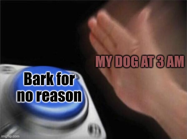 Like, WHAT ARE YOU MAD AT? THERES NOTHING OUT THERE | MY DOG AT 3 AM; Bark for no reason | image tagged in memes,blank nut button,dragonz | made w/ Imgflip meme maker