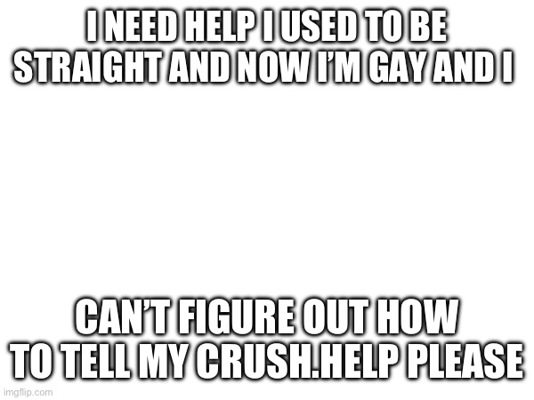 I NEED HELP I USED TO BE STRAIGHT AND NOW I’M GAY AND I; CAN’T FIGURE OUT HOW TO TELL MY CRUSH.HELP PLEASE | image tagged in help me | made w/ Imgflip meme maker