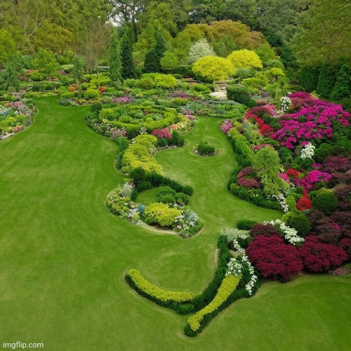 What a nice garden | made w/ Imgflip meme maker