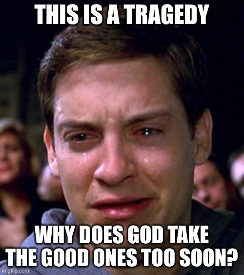 THIS IS A TRAGEDY WHY DOES GOD TAKE THE GOOD ONES TOO SOON? | image tagged in crying peter parker | made w/ Imgflip meme maker