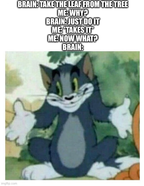 This is too true | BRAIN: TAKE THE LEAF FROM THE TREE
ME: WHY?
BRAIN: JUST DO IT
ME: *TAKES IT*
ME: NOW WHAT?
BRAIN: | image tagged in idk tom template,relatable,true,so true,brain,confused | made w/ Imgflip meme maker