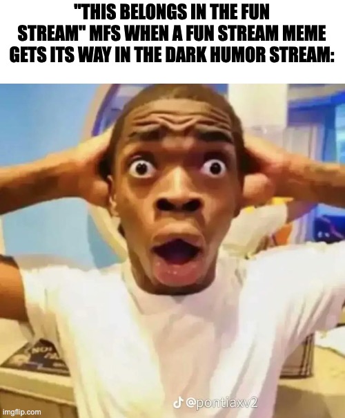 (THEY WEREN'T PREPARED) | "THIS BELONGS IN THE FUN STREAM" MFS WHEN A FUN STREAM MEME GETS ITS WAY IN THE DARK HUMOR STREAM: | image tagged in shocked black guy | made w/ Imgflip meme maker