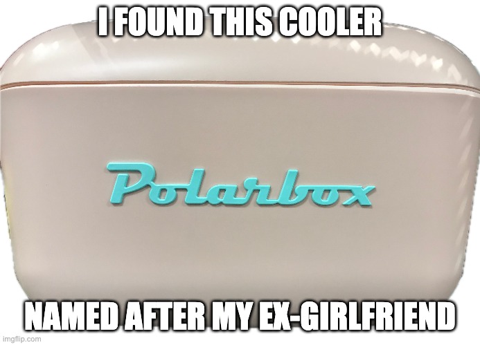 Bitter?  Nah.  Just Being Real. | I FOUND THIS COOLER; NAMED AFTER MY EX-GIRLFRIEND | image tagged in frigid,friend zone | made w/ Imgflip meme maker