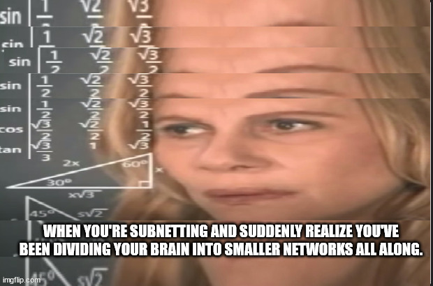 IT | WHEN YOU'RE SUBNETTING AND SUDDENLY REALIZE YOU'VE BEEN DIVIDING YOUR BRAIN INTO SMALLER NETWORKS ALL ALONG. | image tagged in math lady/confused lady | made w/ Imgflip meme maker