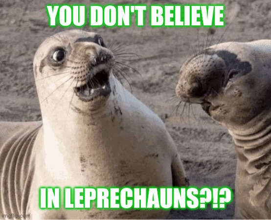 Who doesn't think leprechauns aren't real? | YOU DON'T BELIEVE; IN LEPRECHAUNS?!? | image tagged in shocked seal,memes,leprechaun,shook,ireland,surprised | made w/ Imgflip meme maker