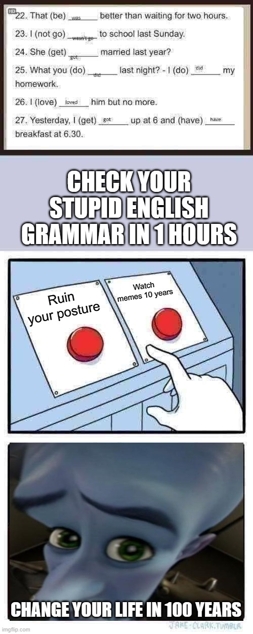 CHECK YOUR STUPID ENGLISH GRAMMAR IN 1 HOURS; Watch memes 10 years; Ruin your posture; CHANGE YOUR LIFE IN 100 YEARS | image tagged in memes,two buttons | made w/ Imgflip meme maker