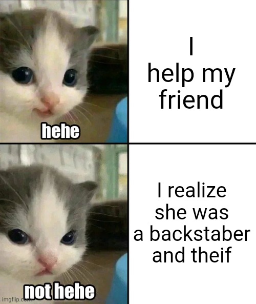 Rrrrrrr | I help my friend; I realize she was a backstaber and theif | image tagged in cute cat hehe and not hehe | made w/ Imgflip meme maker