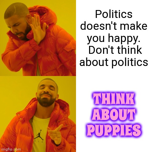 Almost Everyone Loves Puppies | Politics doesn't make you happy.  Don't think about politics; THINK ABOUT PUPPIES | image tagged in memes,drake hotline bling,be happy,don't worry be happy,think happy thoughts,cute puppies | made w/ Imgflip meme maker