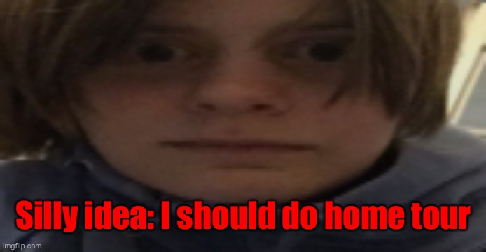 DarthSwede silly serious face | Silly idea: I should do home tour | image tagged in darthswede silly serious face | made w/ Imgflip meme maker