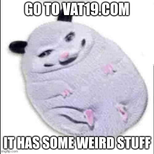 Shitpost possum | GO TO VAT19.COM; IT HAS SOME WEIRD STUFF | image tagged in shitpost possum | made w/ Imgflip meme maker