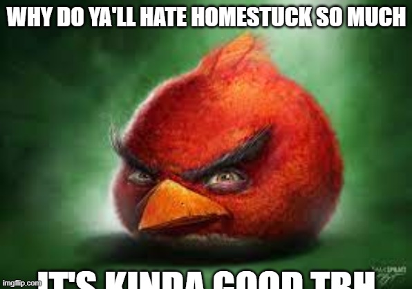 Realistic Red Angry Birds | WHY DO YA'LL HATE HOMESTUCK SO MUCH; IT'S KINDA GOOD TBH | image tagged in realistic red angry birds | made w/ Imgflip meme maker