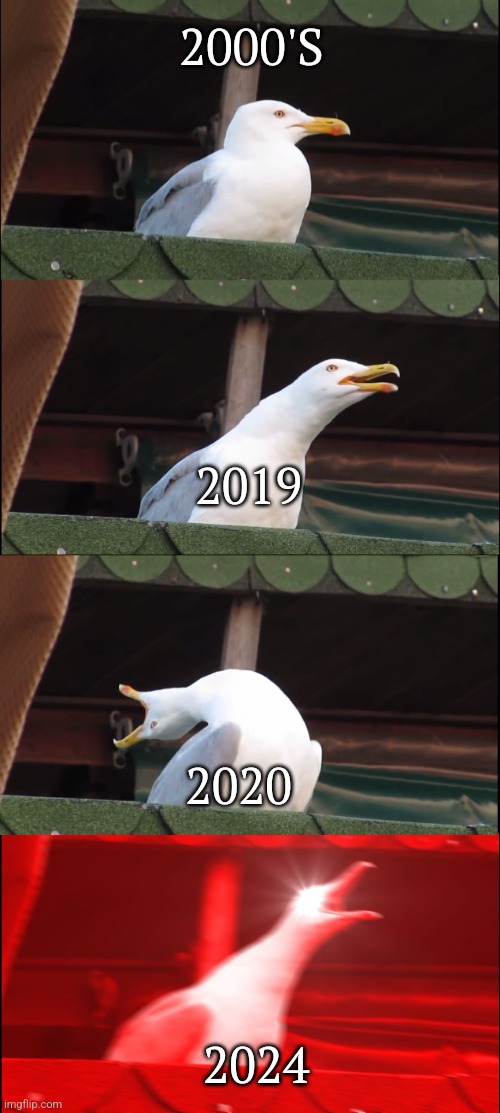 Inhaling Seagull | 2000'S; 2019; 2020; 2024 | image tagged in memes,inhaling seagull | made w/ Imgflip meme maker