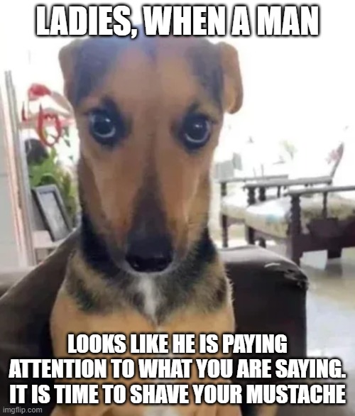 Hey Ladies | LADIES, WHEN A MAN; LOOKS LIKE HE IS PAYING ATTENTION TO WHAT YOU ARE SAYING. IT IS TIME TO SHAVE YOUR MUSTACHE | image tagged in mustache,shave,ladies,shaving,womens rights,feminist | made w/ Imgflip meme maker