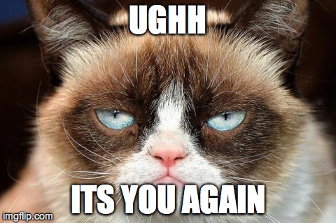Grumpy Cat Not Amused | UGHH ITS YOU AGAIN | image tagged in grumpy cat not amused | made w/ Imgflip meme maker