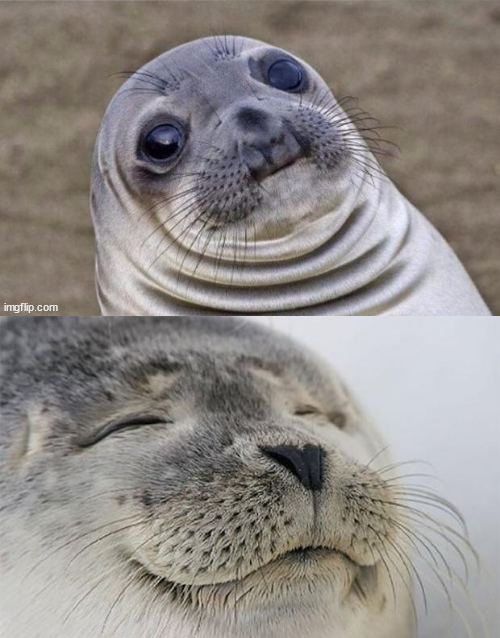 awkward vs satisfied seal Blank Meme Template