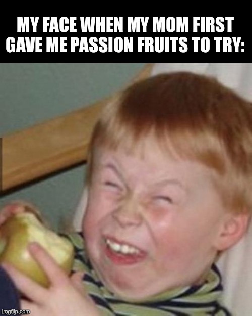 Haha ur so funny | MY FACE WHEN MY MOM FIRST GAVE ME PASSION FRUITS TO TRY: | image tagged in haha ur so funny | made w/ Imgflip meme maker