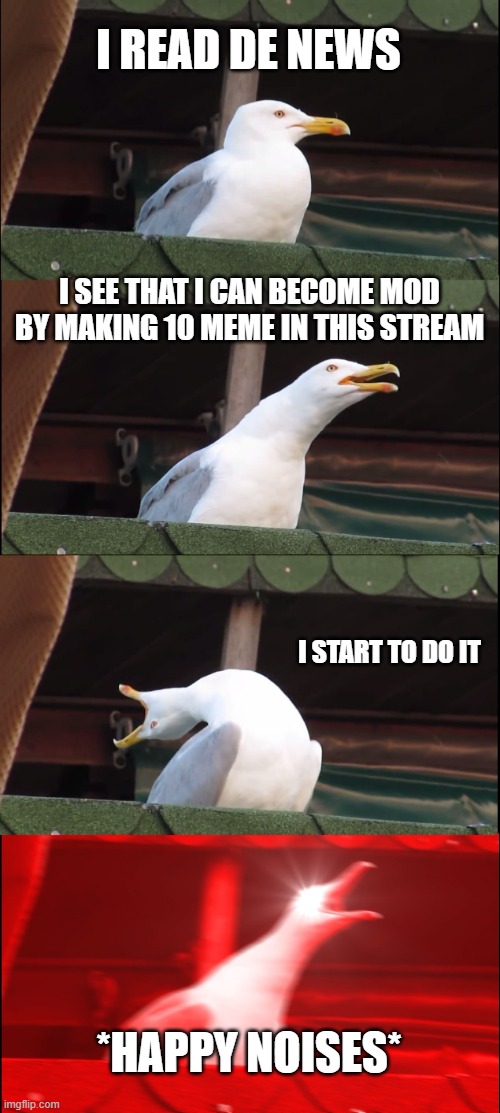 pls | I READ DE NEWS; I SEE THAT I CAN BECOME MOD BY MAKING 10 MEME IN THIS STREAM; I START TO DO IT; *HAPPY NOISES* | image tagged in memes,inhaling seagull | made w/ Imgflip meme maker
