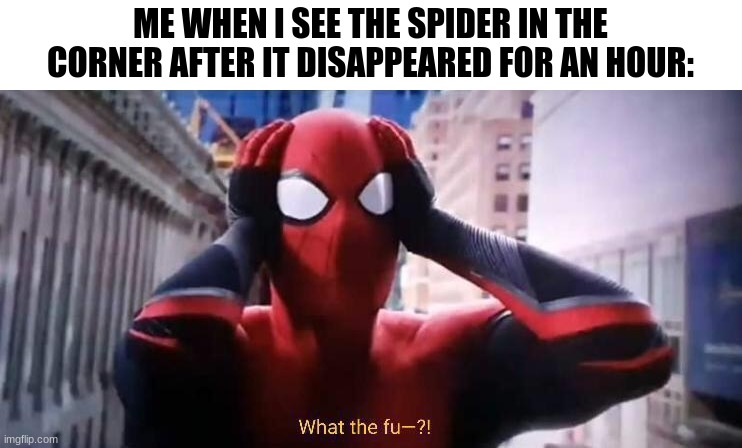 NOOOOOOOO I THOUGHT IT WAS GONEEEEEEE | ME WHEN I SEE THE SPIDER IN THE CORNER AFTER IT DISAPPEARED FOR AN HOUR: | image tagged in spider-man confused | made w/ Imgflip meme maker