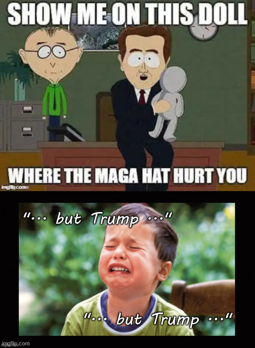 Just a red hat will do it... no white lettering necessary... | image tagged in red hats,trigger,trump haters | made w/ Imgflip meme maker