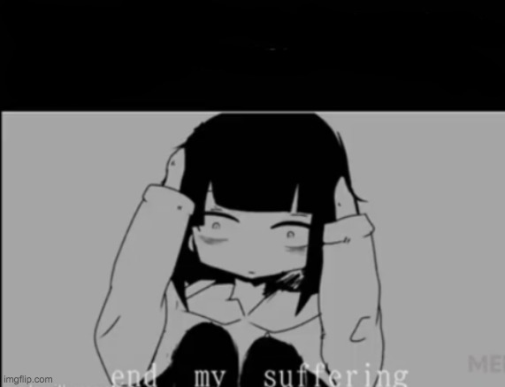 end my suffering | image tagged in end my suffering | made w/ Imgflip meme maker