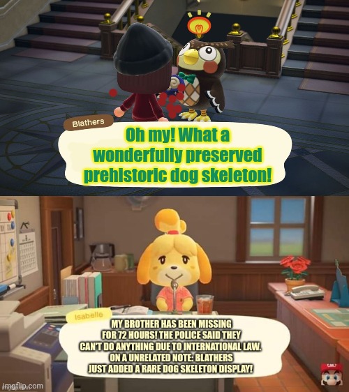 Animal Crossing museum | Oh my! What a wonderfully preserved prehistoric dog skeleton! | image tagged in animal crossing,museum,blathers the owl,isabelle | made w/ Imgflip meme maker