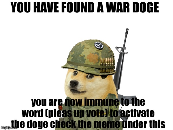 war doge | YOU HAVE FOUND A WAR DOGE; you are now immune to the word (pleas up vote) to activate the doge check the meme under this | image tagged in memes | made w/ Imgflip meme maker
