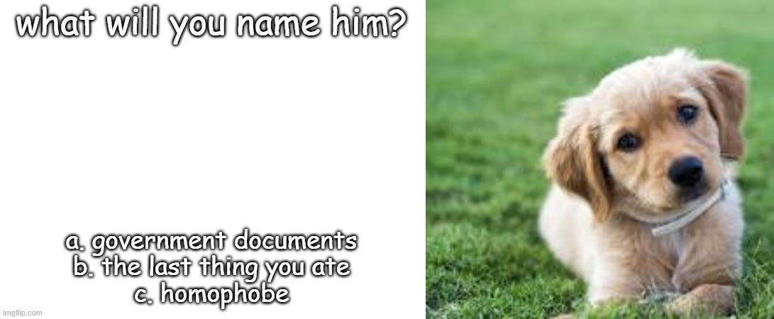 what will you name him? a. government documents
b. the last thing you ate
c. homophobe | made w/ Imgflip meme maker