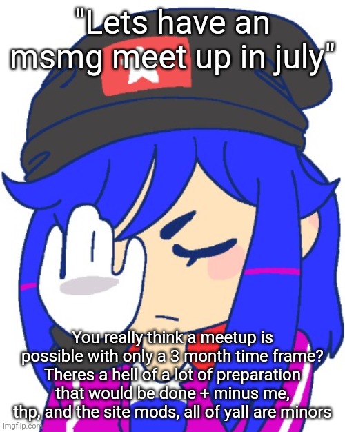 It takes longer than that to plan something like that | "Lets have an msmg meet up in july"; You really think a meetup is possible with only a 3 month time frame? Theres a hell of a lot of preparation that would be done + minus me, thp, and the site mods, all of yall are minors | image tagged in pie charts | made w/ Imgflip meme maker