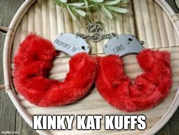 memes by Brad kinky kat kuffs | KINKY KAT KUFFS | image tagged in cats,funny,handcuffs,funny cat memes,humor | made w/ Imgflip meme maker