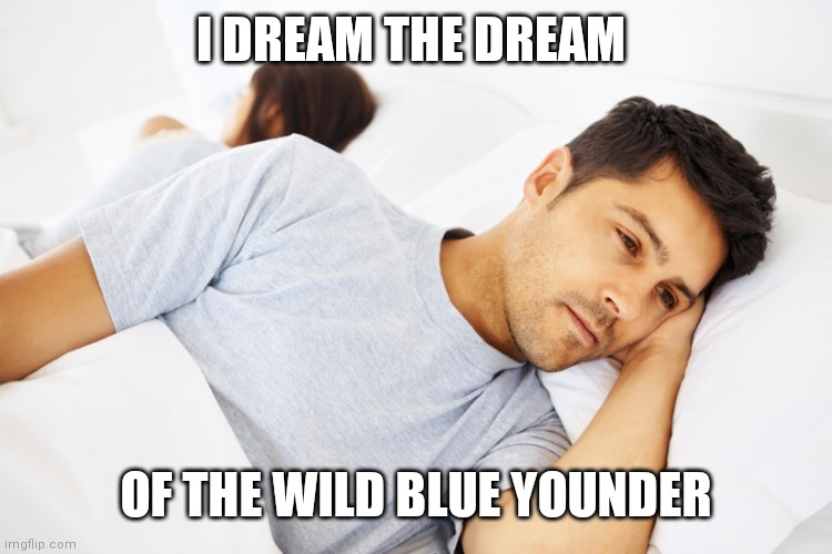 Dream to deeam | I DREAM THE DREAM; OF THE WILD BLUE YOUNDER | image tagged in dreaming,funny memes | made w/ Imgflip meme maker