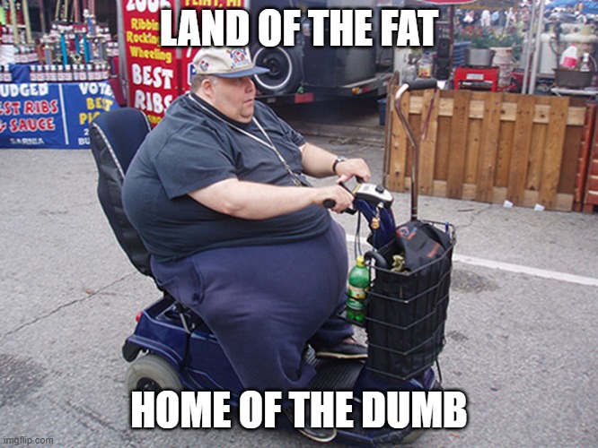 LAND OF THE FAT HOME OF THE DUMB | image tagged in fat american on scooter | made w/ Imgflip meme maker