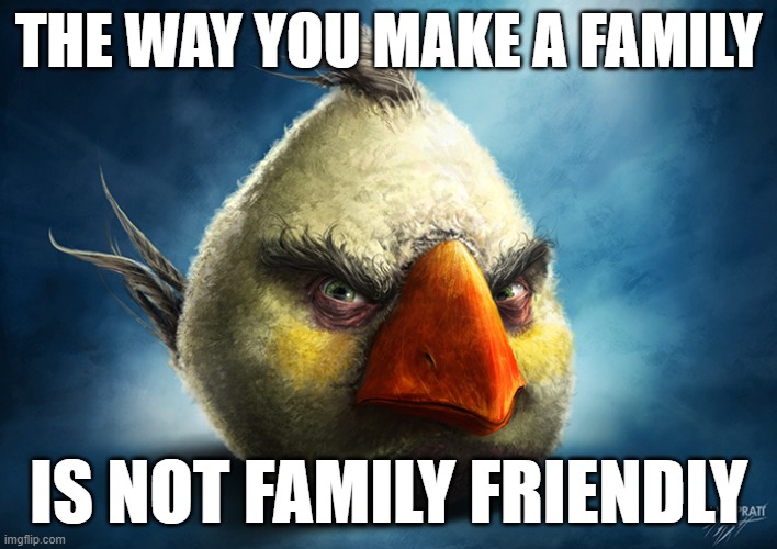 Realistic Angry Bird (Mathilda) | THE WAY YOU MAKE A FAMILY; IS NOT FAMILY FRIENDLY | image tagged in realistic angry bird mathilda | made w/ Imgflip meme maker