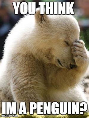 Facepalm Bear | YOU THINK  IM A PENGUIN? | image tagged in memes,facepalm bear | made w/ Imgflip meme maker