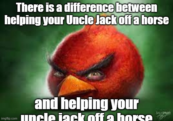 capitalization changes everything | There is a difference between helping your Uncle Jack off a horse; and helping your uncle jack off a horse | image tagged in realistic red angry birds | made w/ Imgflip meme maker