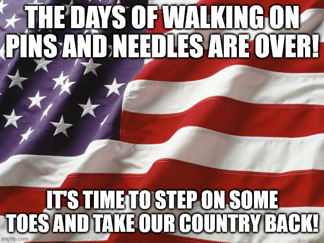 Pins and Needles | THE DAYS OF WALKING ON PINS AND NEEDLES ARE OVER! IT'S TIME TO STEP ON SOME TOES AND TAKE OUR COUNTRY BACK! | image tagged in american flag | made w/ Imgflip meme maker