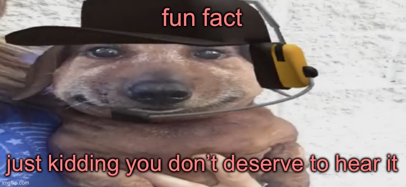 chucklenuts | fun fact; just kidding you don’t deserve to hear it | image tagged in chucklenuts | made w/ Imgflip meme maker