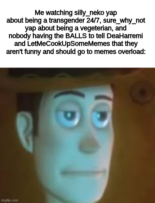 dissapointed woody | Me watching silly_neko yap about being a transgender 24/7, sure_why_not yap about being a vegeterian, and nobody having the BALLS to tell DeaHarremi and LetMeCookUpSomeMemes that they aren't funny and should go to memes overload: | image tagged in dissapointed woody | made w/ Imgflip meme maker