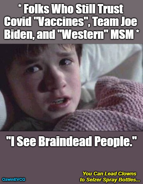 You Can Lead Clowns to Selzer Spray Bottles... | * Folks Who Still Trust 

Covid "Vaccines", Team Joe 

Biden, and "Western" MSM *; "I See Braindead People."; You Can Lead Clowns 

to Selzer Spray Bottles... OzwinEVCG | image tagged in liberal logic,team pedo stalin,covid vaccine psyop,clown world,msm lies,deaths in heads | made w/ Imgflip meme maker