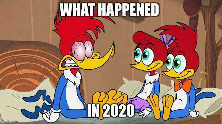 Don't ask | WHAT HAPPENED; IN 2020 | image tagged in woody the woodpecker,funny,memes | made w/ Imgflip meme maker