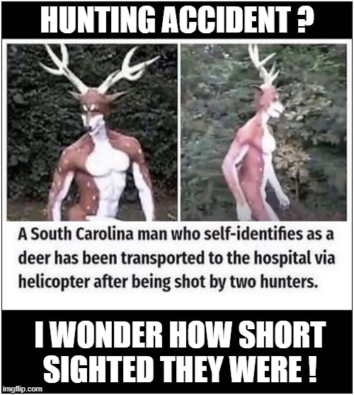 I Feel There's More Going On Here ? | HUNTING ACCIDENT ? I WONDER HOW SHORT SIGHTED THEY WERE ! | image tagged in hunting,accident,deer,short sighted,dark humour | made w/ Imgflip meme maker