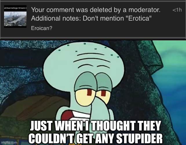 I really don’t get the point | JUST WHEN I THOUGHT THEY COULDN’T GET ANY STUPIDER | image tagged in squidward | made w/ Imgflip meme maker
