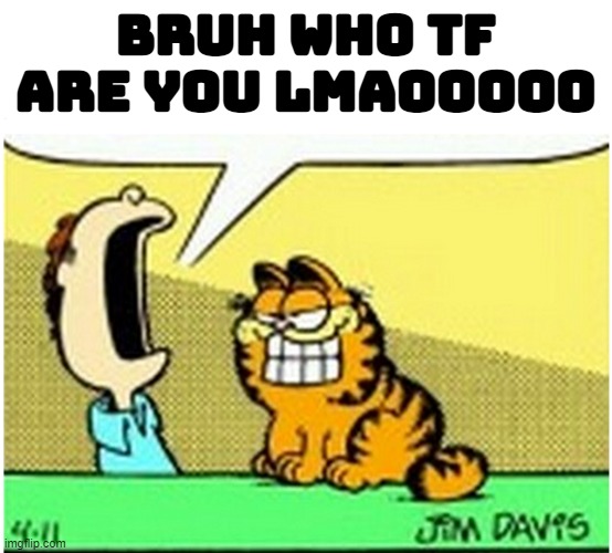 Jon Arbuckle yelling at Garfield the cat | BRUH WHO TF ARE YOU LMAOOOOO | image tagged in jon arbuckle yelling at garfield the cat | made w/ Imgflip meme maker