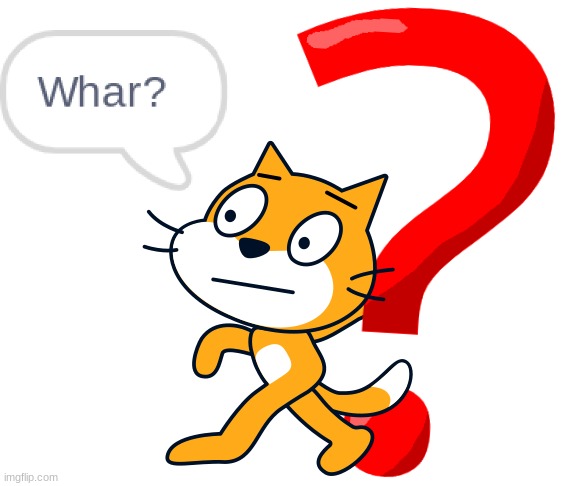 whar? scratch cat | image tagged in whar scratch cat | made w/ Imgflip meme maker