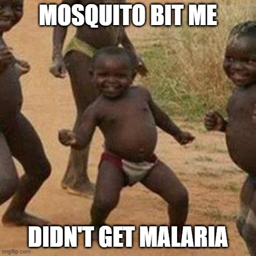 I Live!!! | MOSQUITO BIT ME; DIDN'T GET MALARIA | image tagged in memes,third world success kid | made w/ Imgflip meme maker