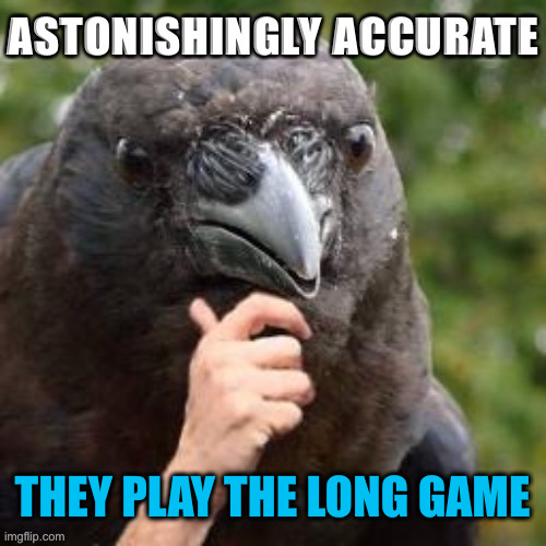 Astonishingly accurate Raven | THEY PLAY THE LONG GAME | image tagged in astonishingly accurate raven | made w/ Imgflip meme maker